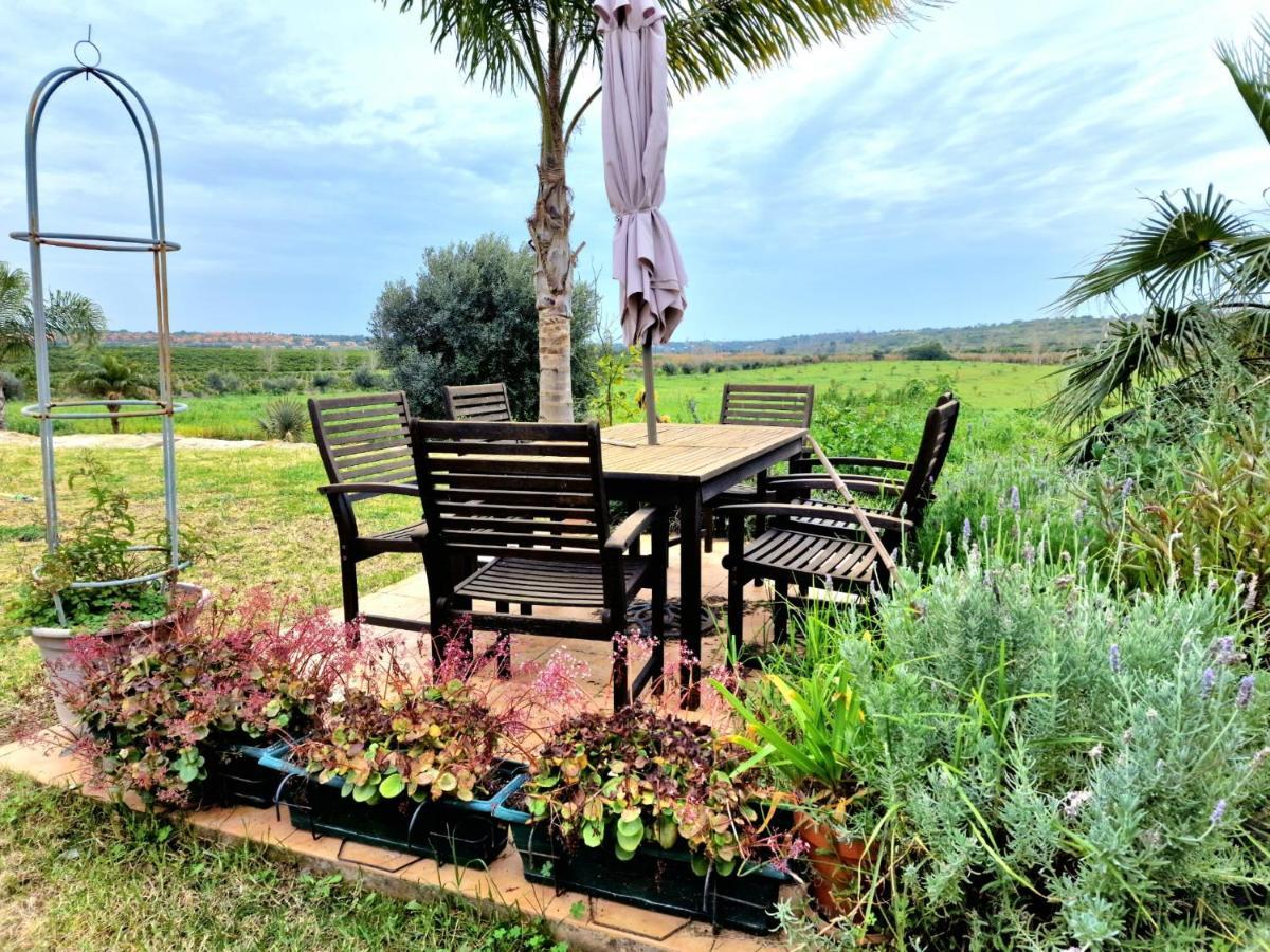 Quinta Do Bravo - Swimming Pool - By Bedzy Vakantiehuis Silves